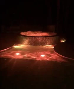 Pool Service Near Manatee, Fl 017