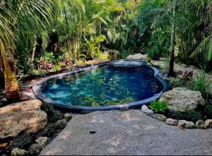 Pool Service Near Manatee, Fl 020